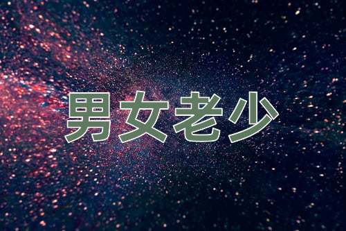 成语男女老少