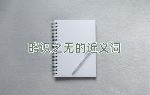 略识之无的近义词
