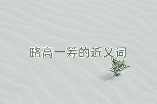 略高一筹的近义词