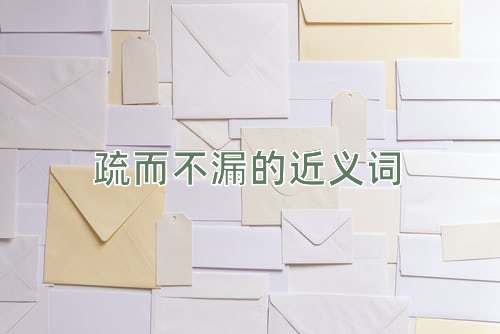 疏而不漏的近义词