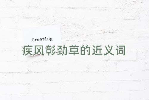 疾风彰劲草的近义词