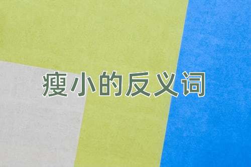 瘦小的反义词