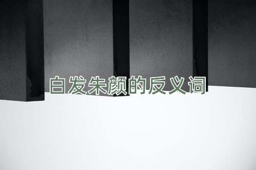 白发朱颜的反义词