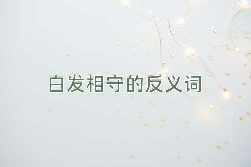 白发相守的反义词