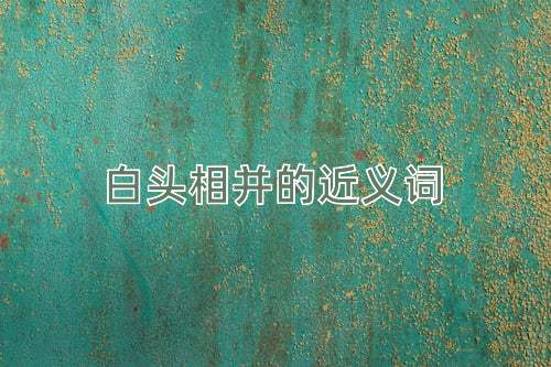 白头相并的近义词
