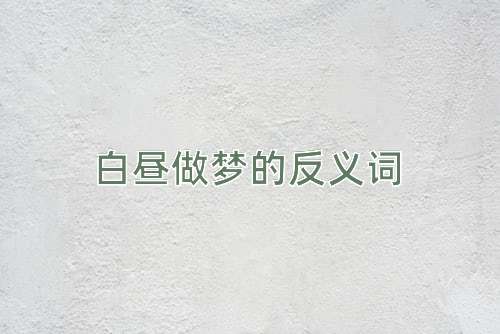 白昼做梦的反义词