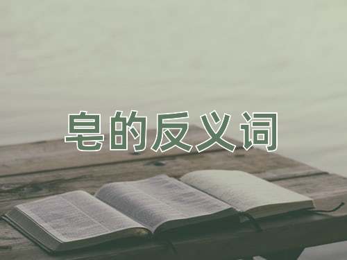 皂的反义词