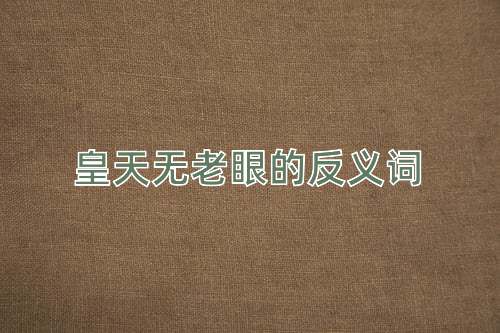 皇天无老眼的反义词
