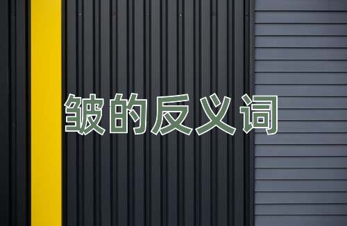 皱的反义词