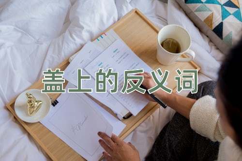 盖上的反义词