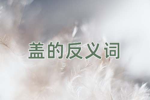 盖的反义词