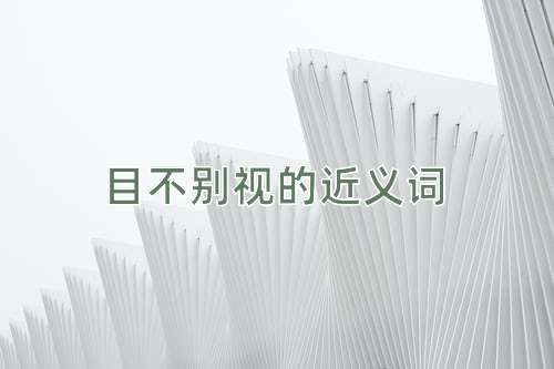 目不别视的近义词