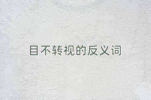 目不转视的反义词