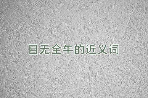 目无全牛的近义词