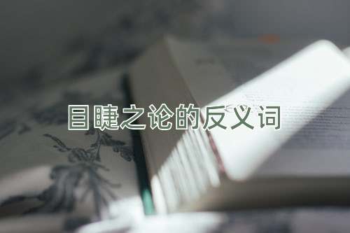 目睫之论的反义词