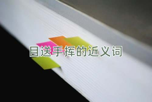 目送手挥的近义词