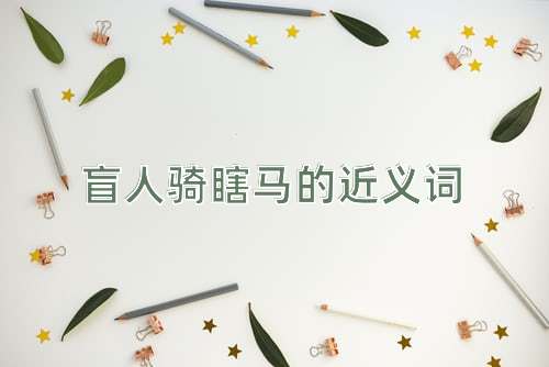 盲人骑瞎马的近义词