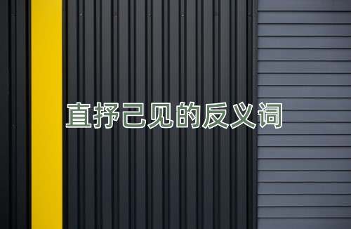 直抒己见的反义词