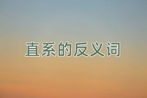 直系的反义词