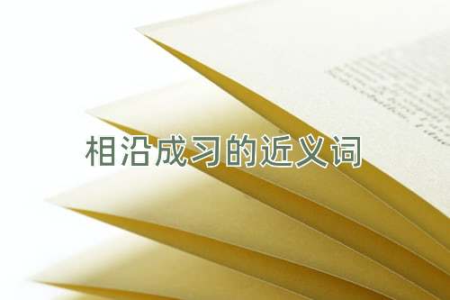 相沿成习的近义词