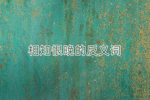 相知恨晚的反义词