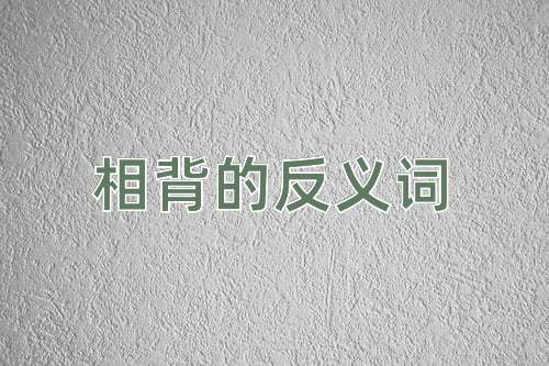 相背的反义词