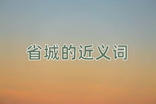 省城的近义词