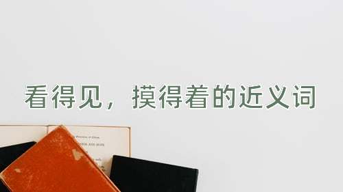 看得见，摸得着的近义词
