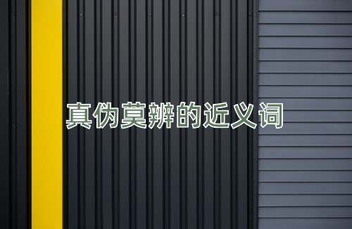 真伪莫辨的近义词