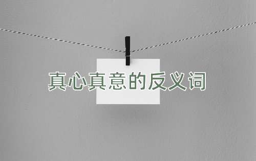 真心真意的反义词