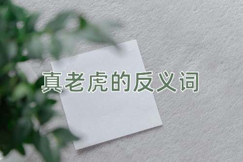 真老虎的反义词