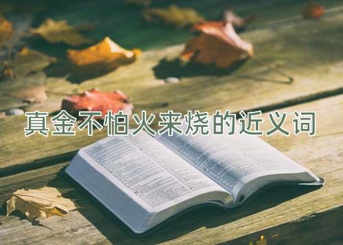 真金不怕火来烧的近义词