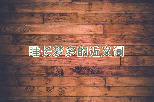 睡长梦多的近义词