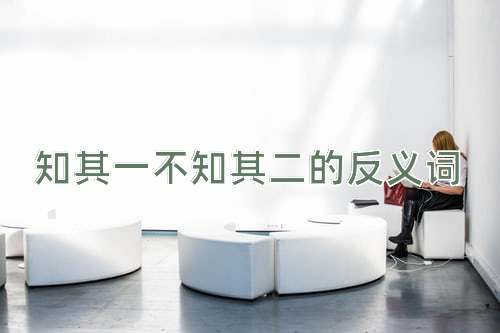 知其一不知其二的反义词