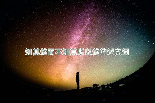 知其然而不知其所以然的近义词