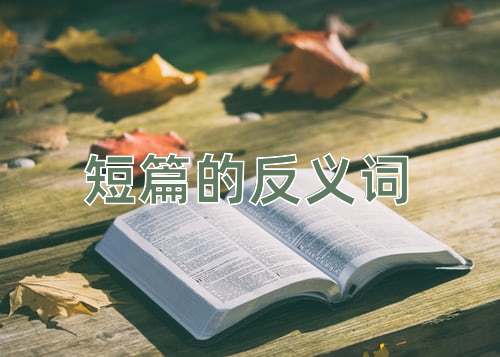 短篇的反义词