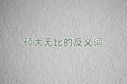 硕大无比的反义词