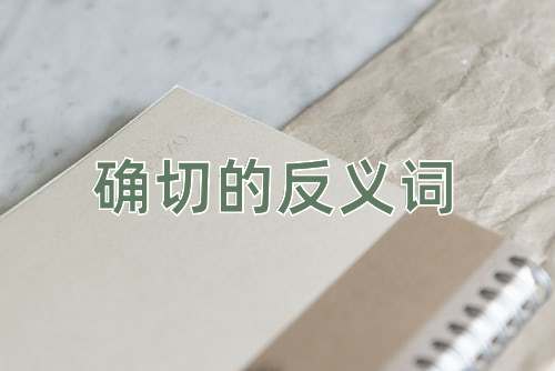确切的反义词