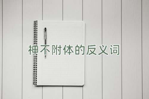神不附体的反义词