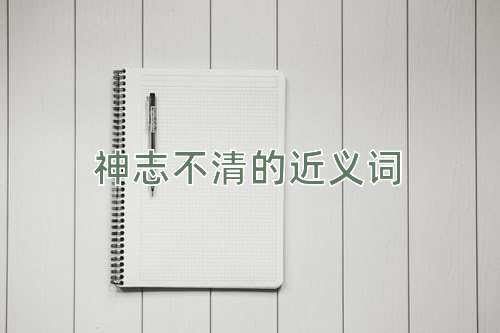 神志不清的近义词