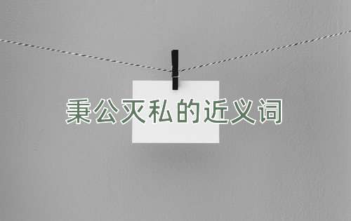 秉公灭私的近义词