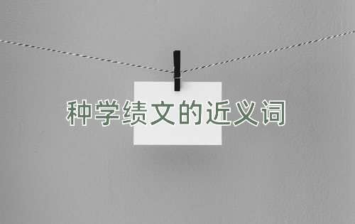 种学绩文的近义词