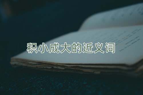 积小成大的近义词