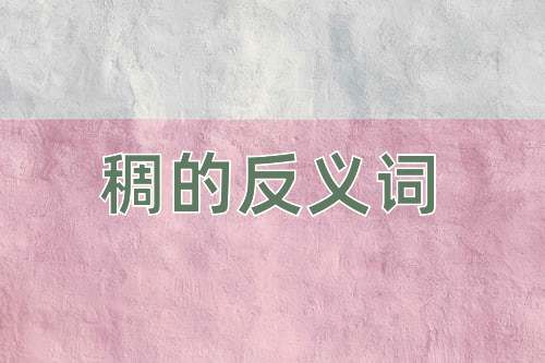 稠的反义词