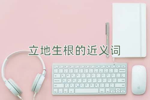 立地生根的近义词