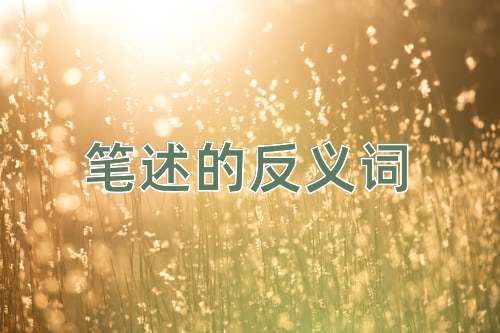 笔述的反义词