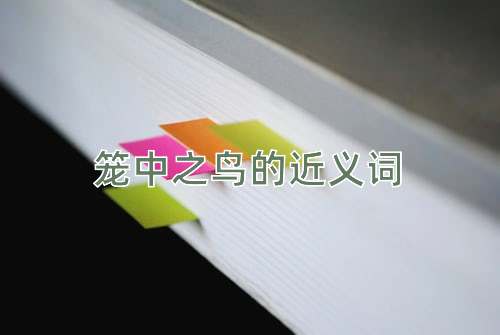 笼中之鸟的近义词