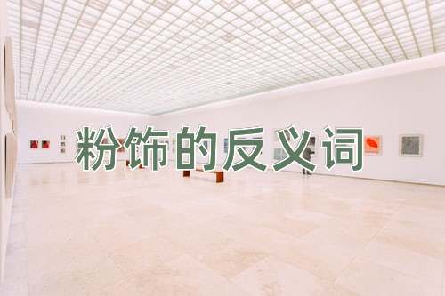 粉饰的反义词