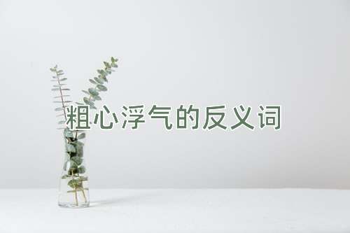 粗心浮气的反义词