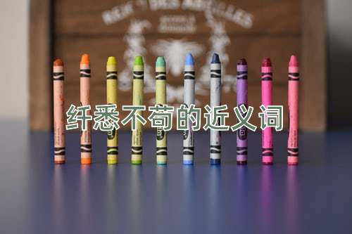 纤悉不苟的近义词